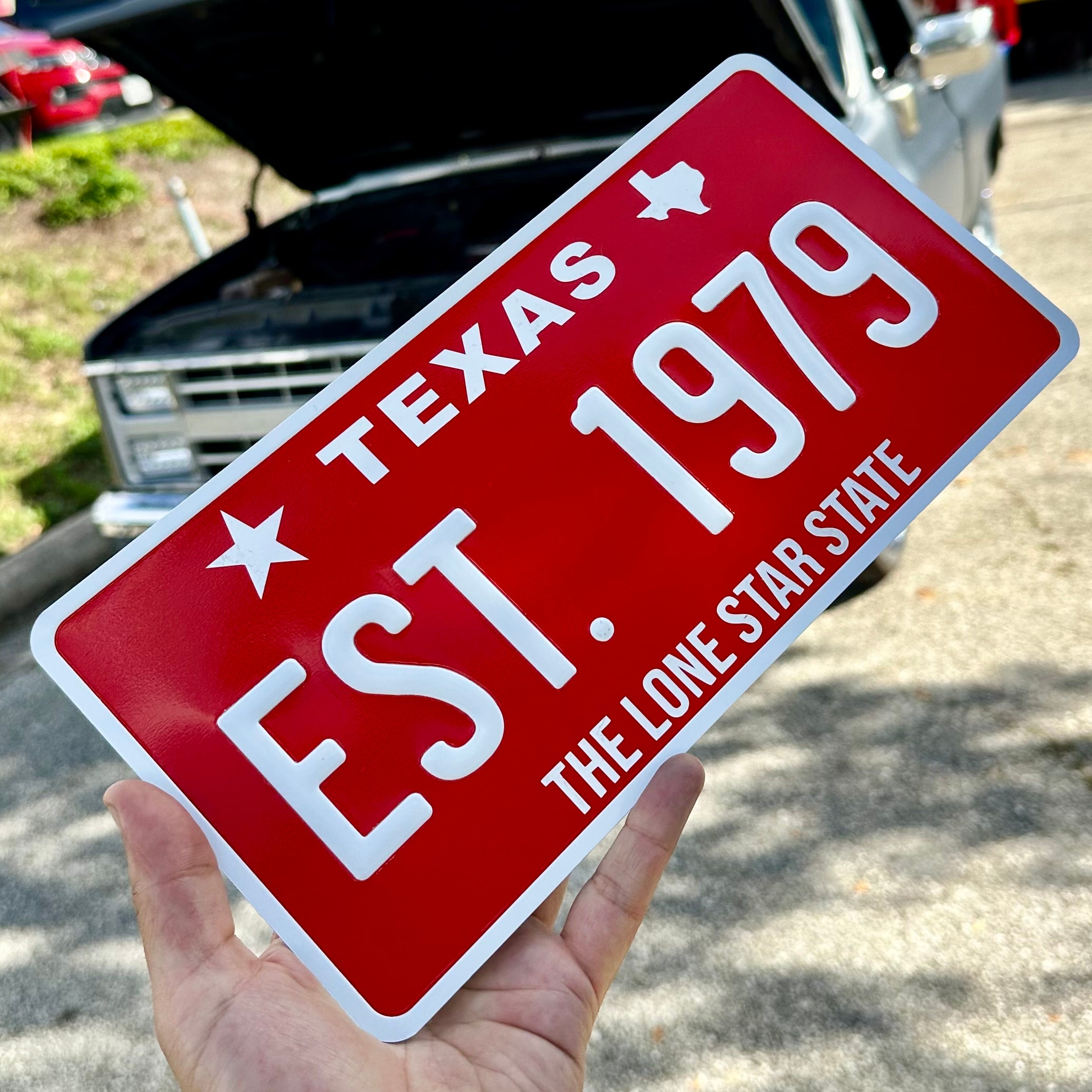 Custom US Aluminium Embossed Vanity License Plate