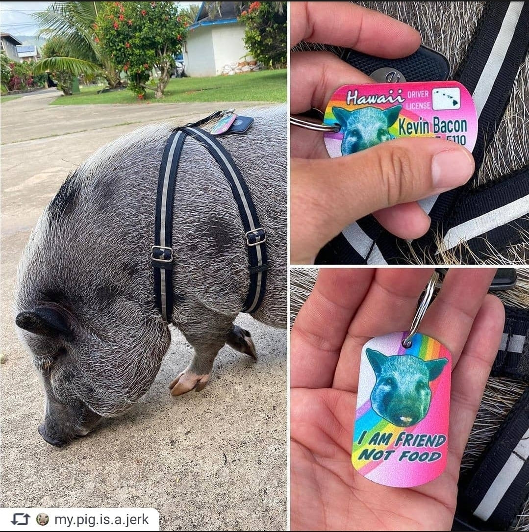 Personalized Pet Tag