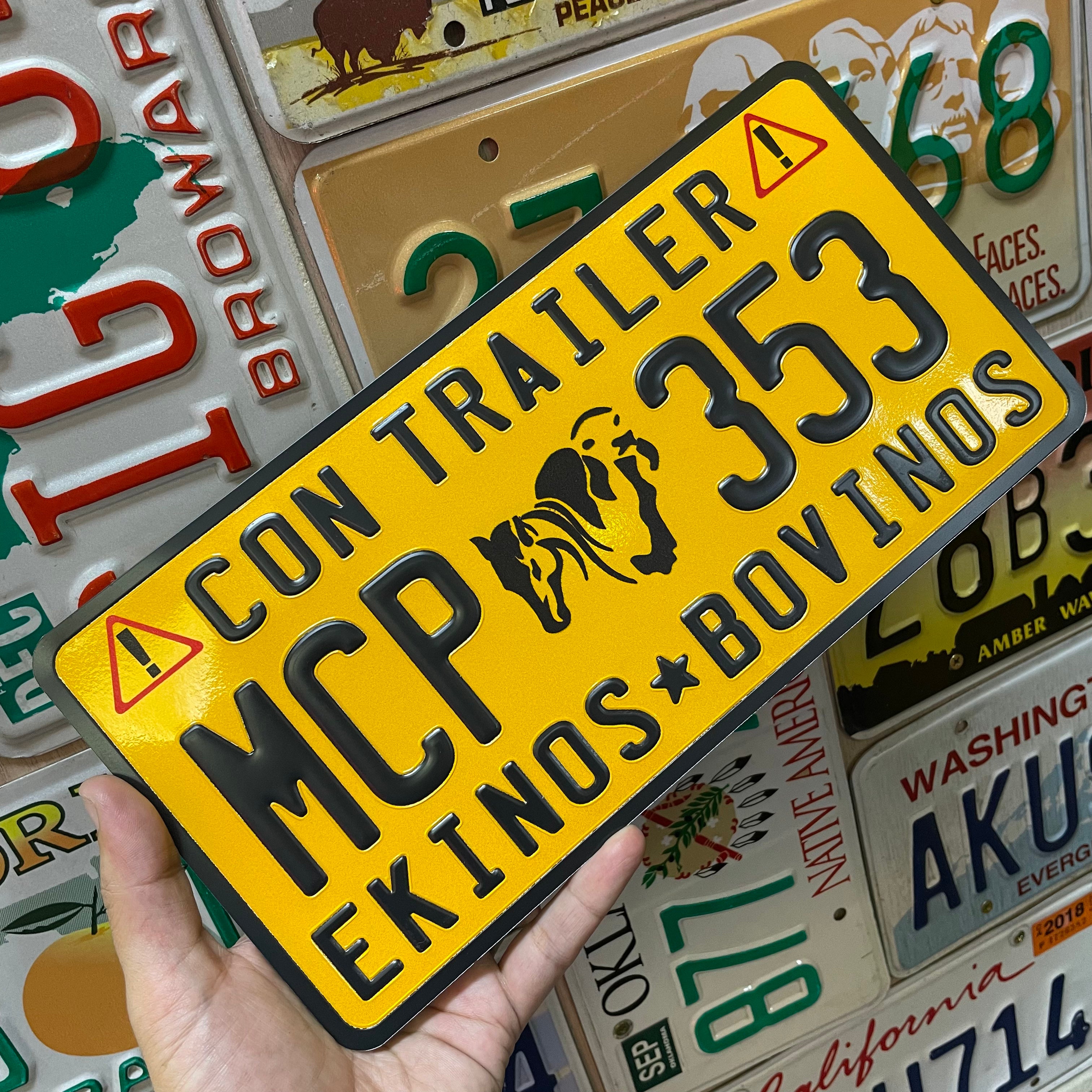 Custom US Aluminium Embossed Vanity License Plate