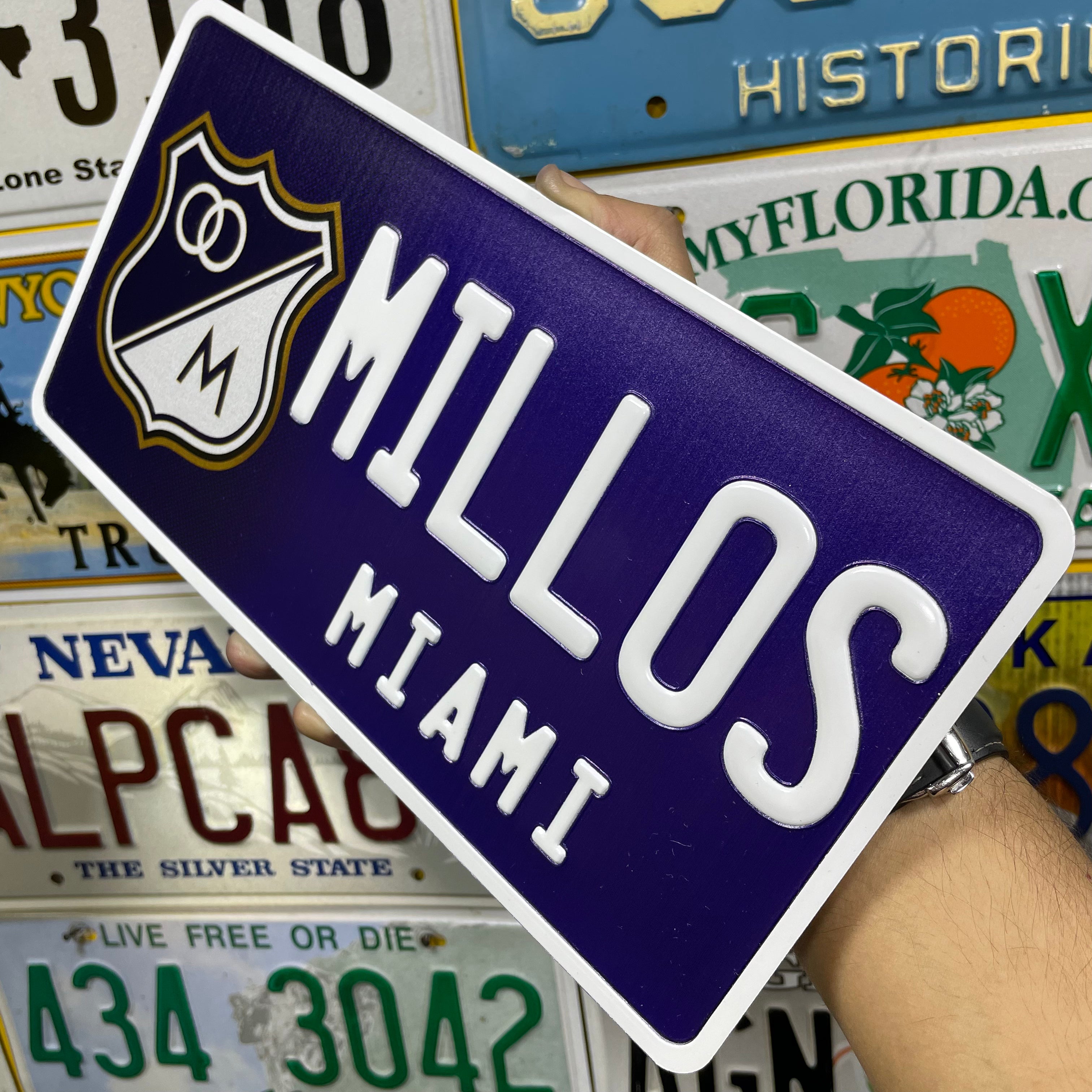 Custom US Aluminium Embossed Vanity License Plate