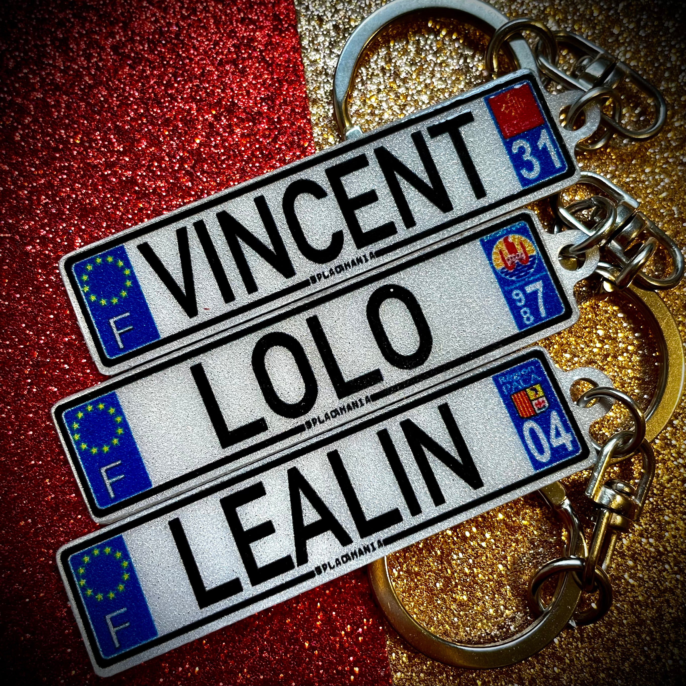 France Euro Plate Keychain