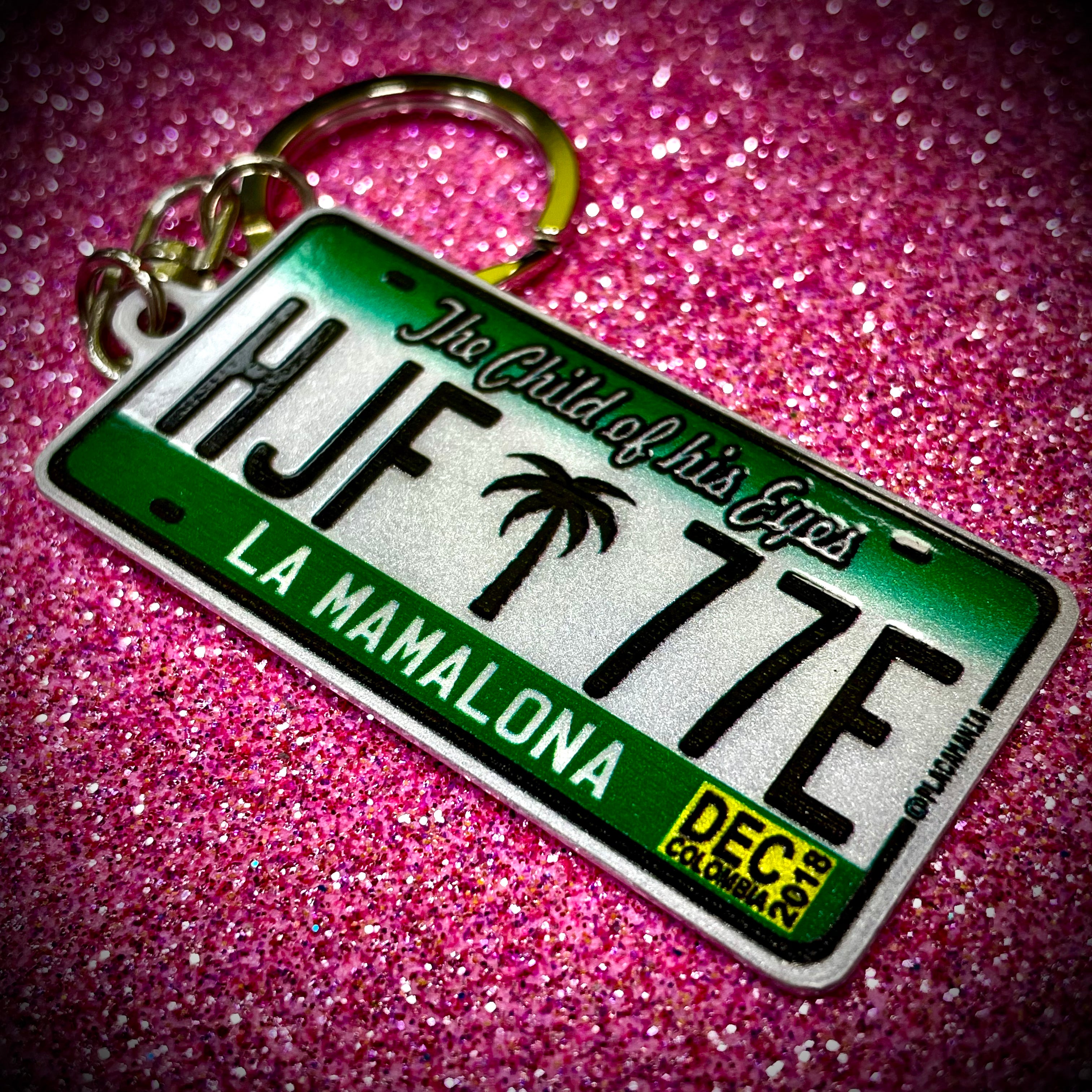Custom US License Plate Keychain