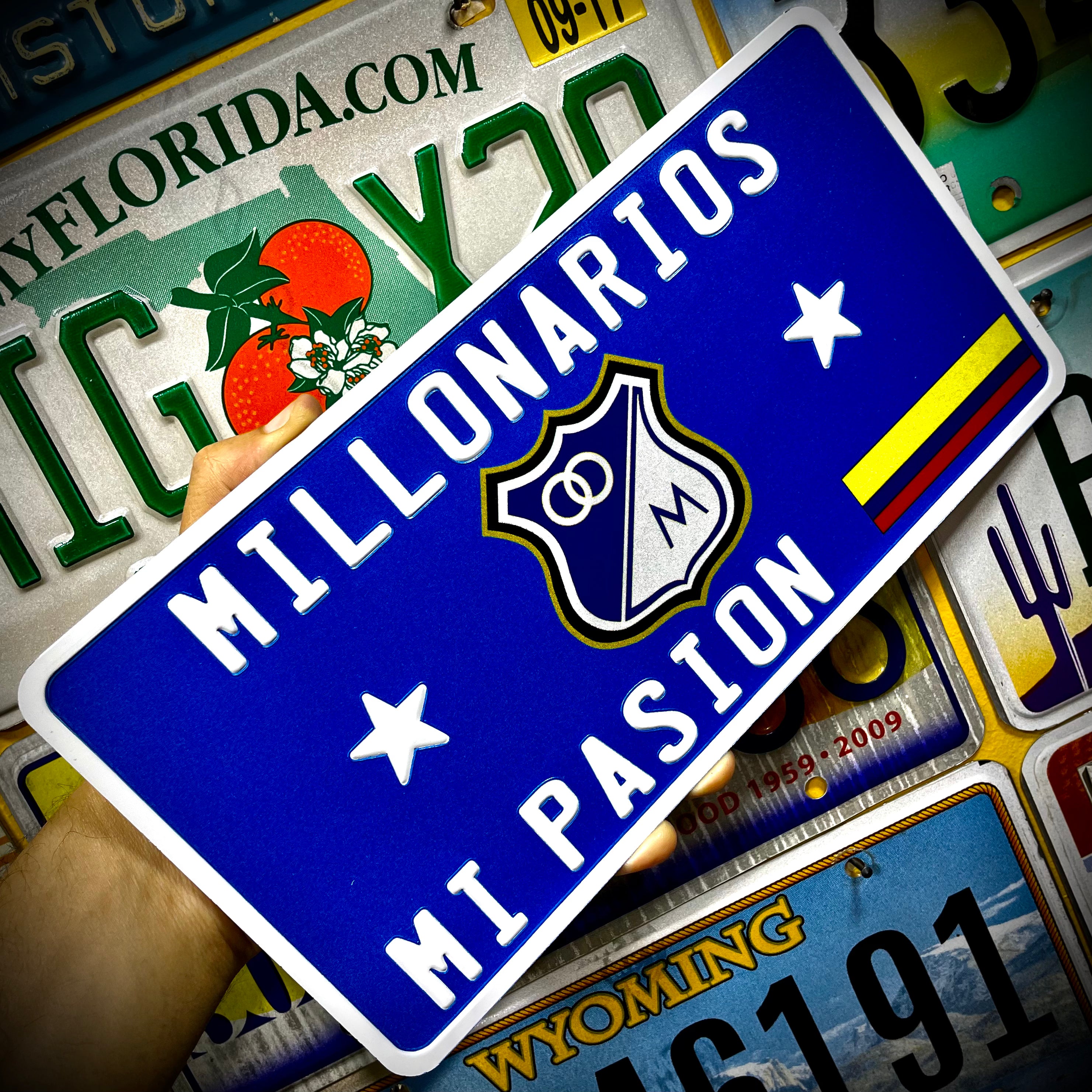 Custom US Aluminium Embossed Vanity License Plate