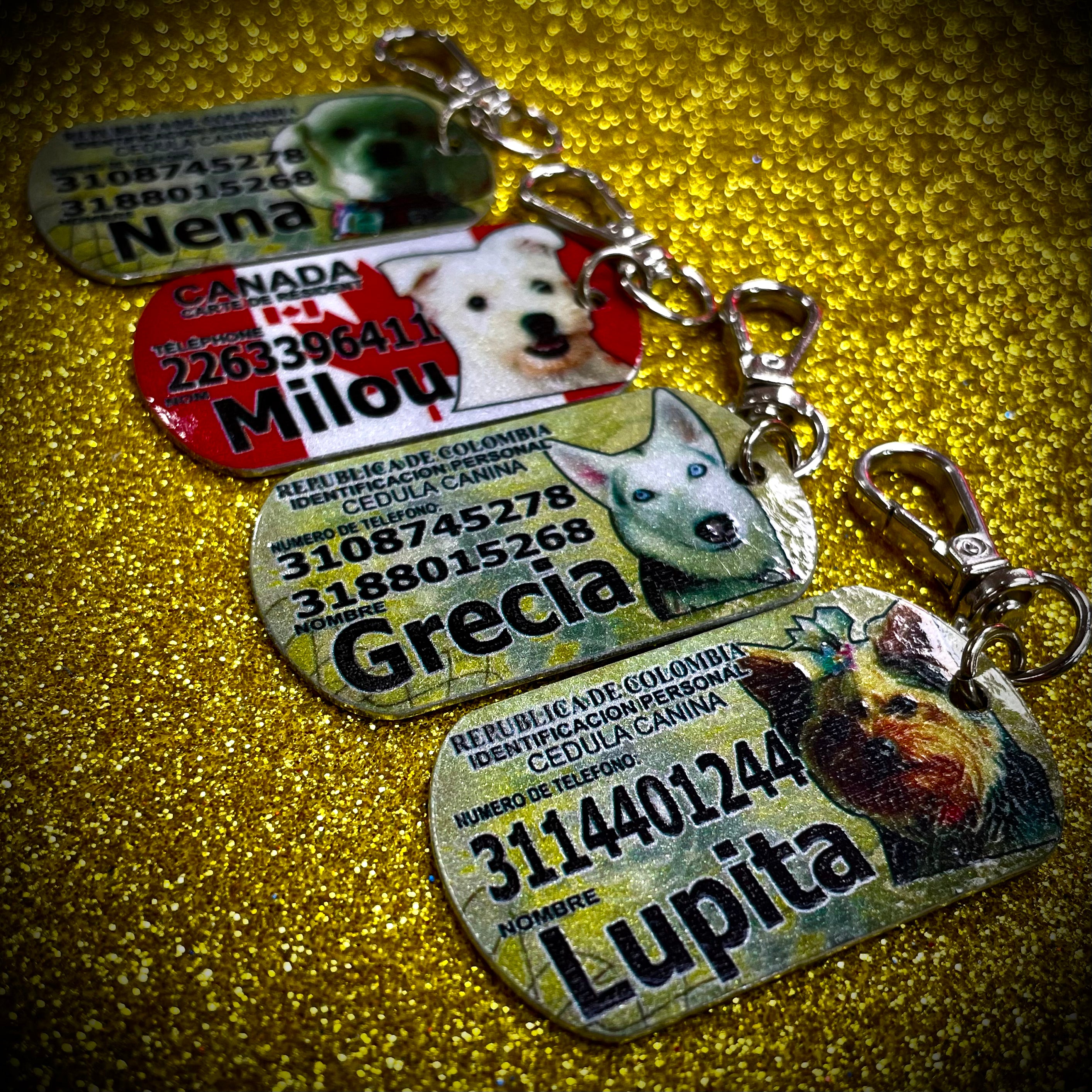 Personalized Pet Tag