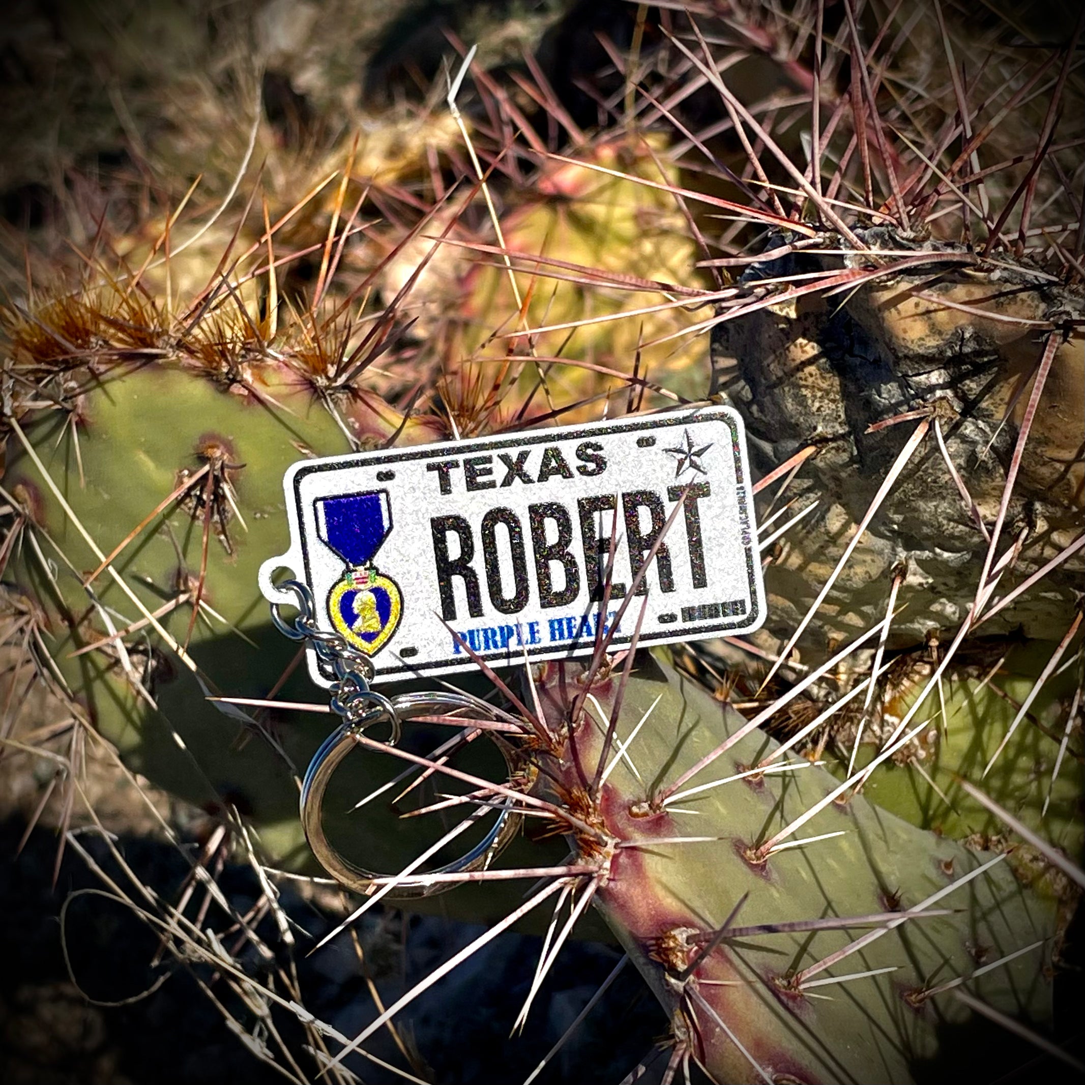 Create your own US License Plate Keychain