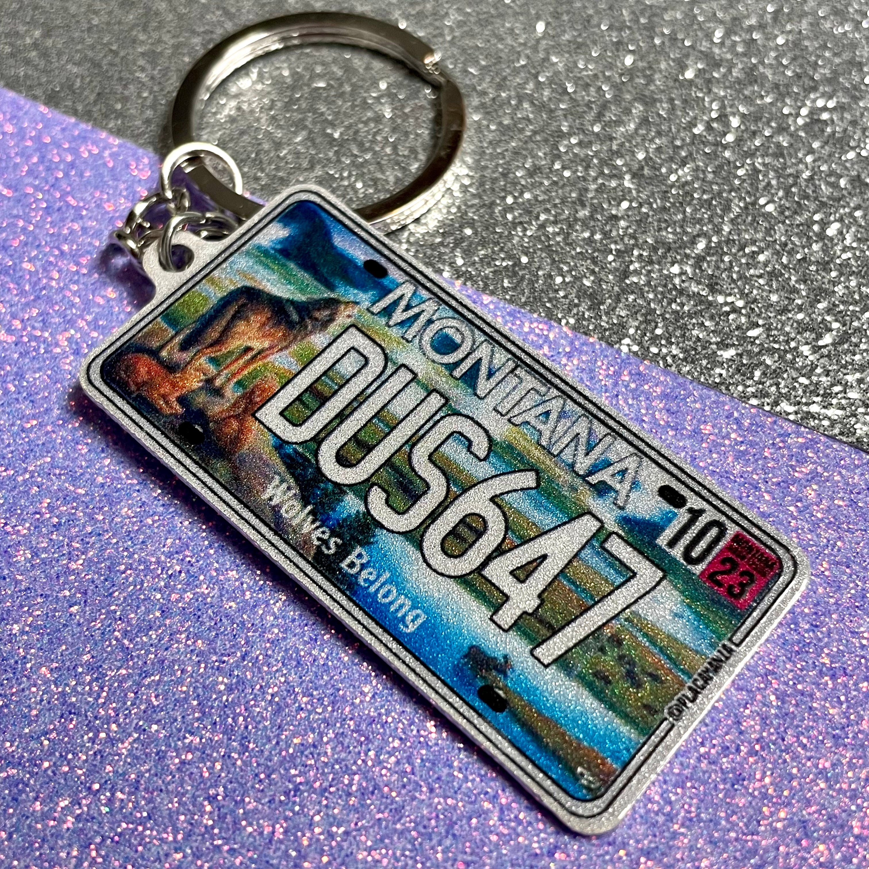 Custom US License Plate Keychain