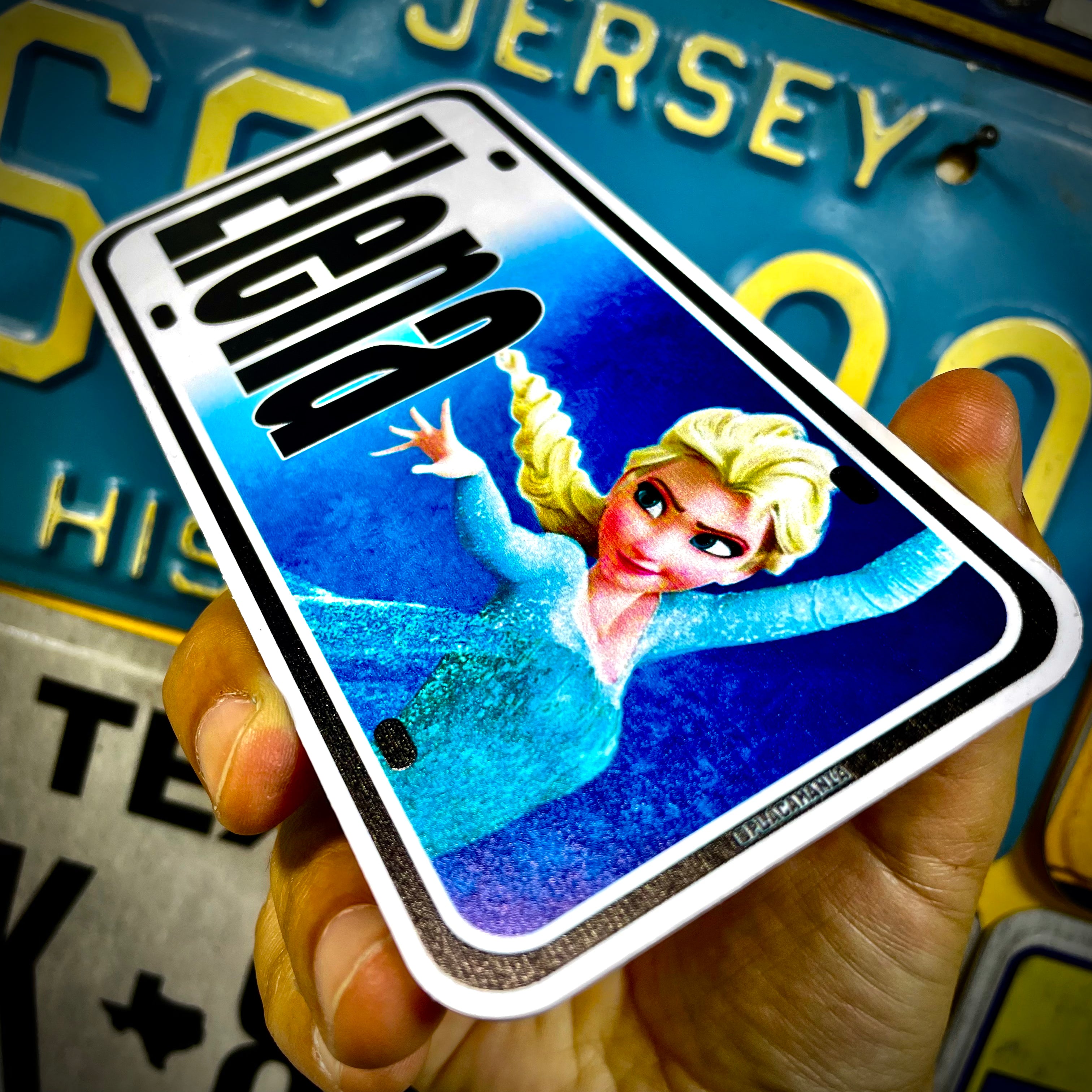 Custom Plastic Bike's License Plate