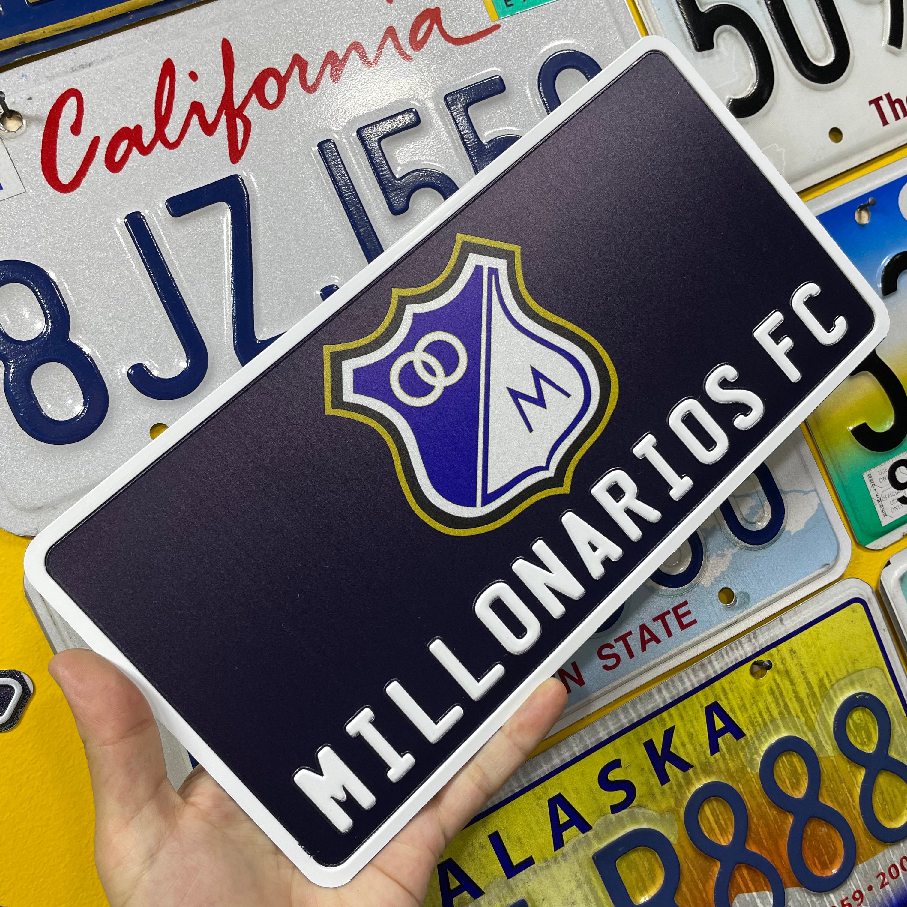 Custom US Aluminium Embossed Vanity License Plate