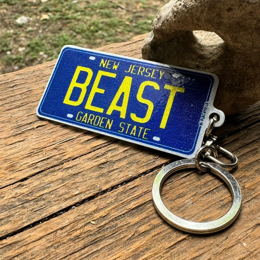 Custom US License Plate Keychain