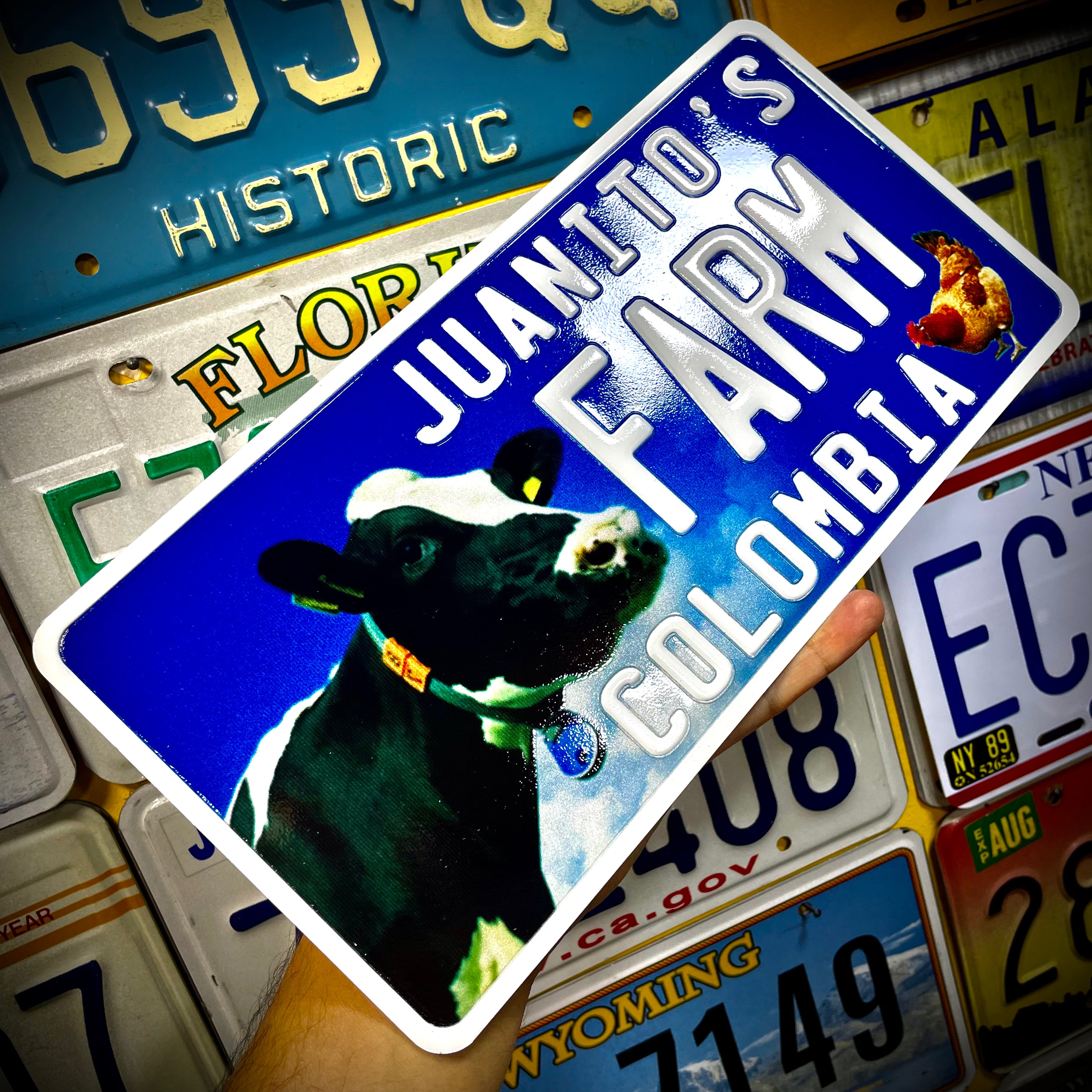 Custom US Aluminium Embossed Vanity License Plate