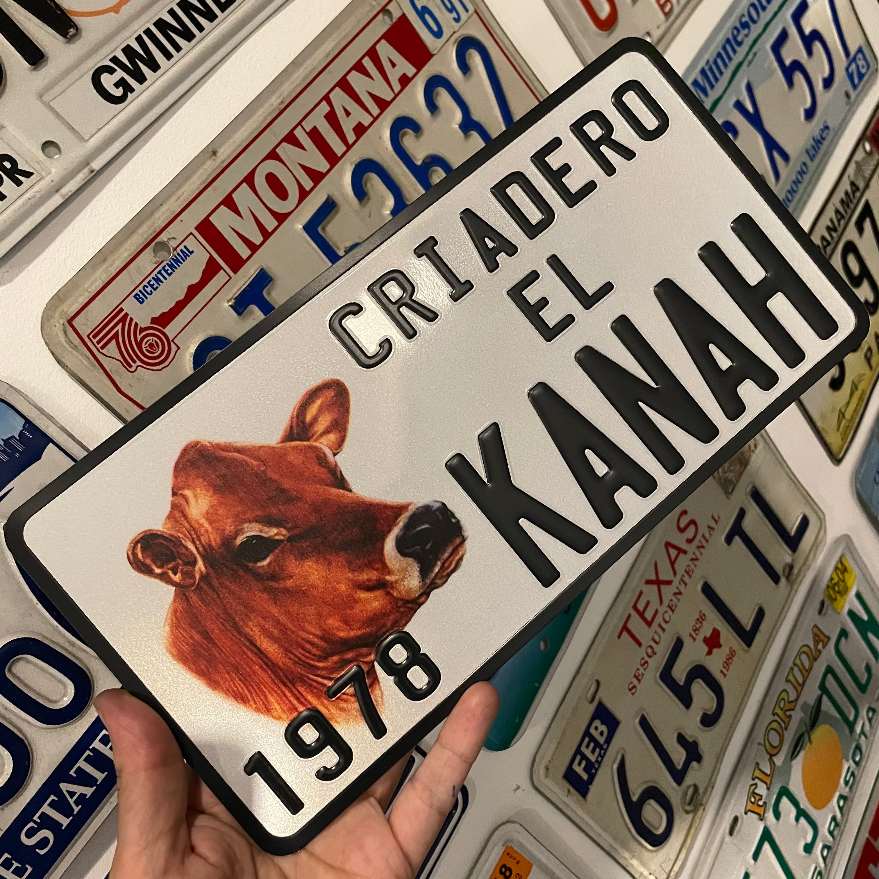 Custom US Aluminium Embossed Vanity License Plate