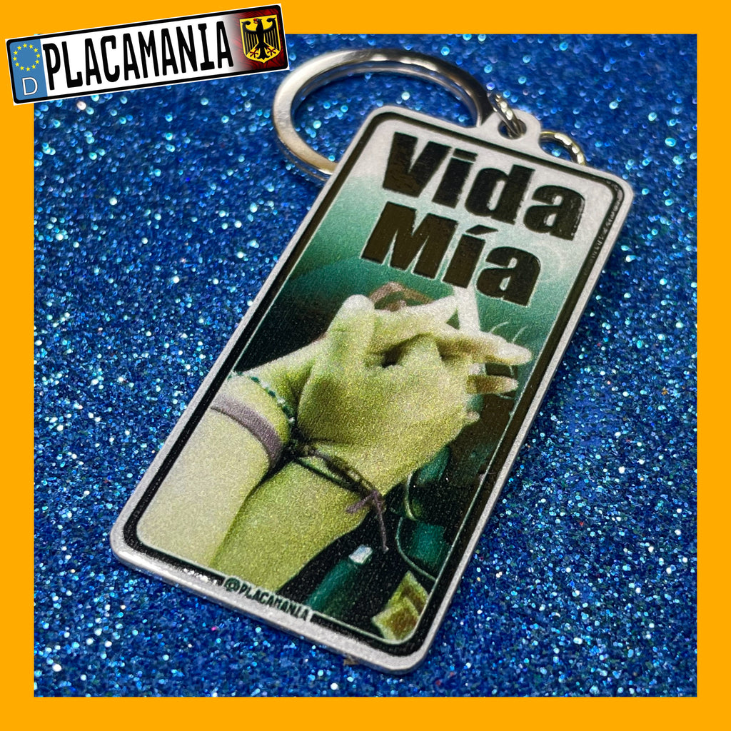 Custom US License Plate Keychain