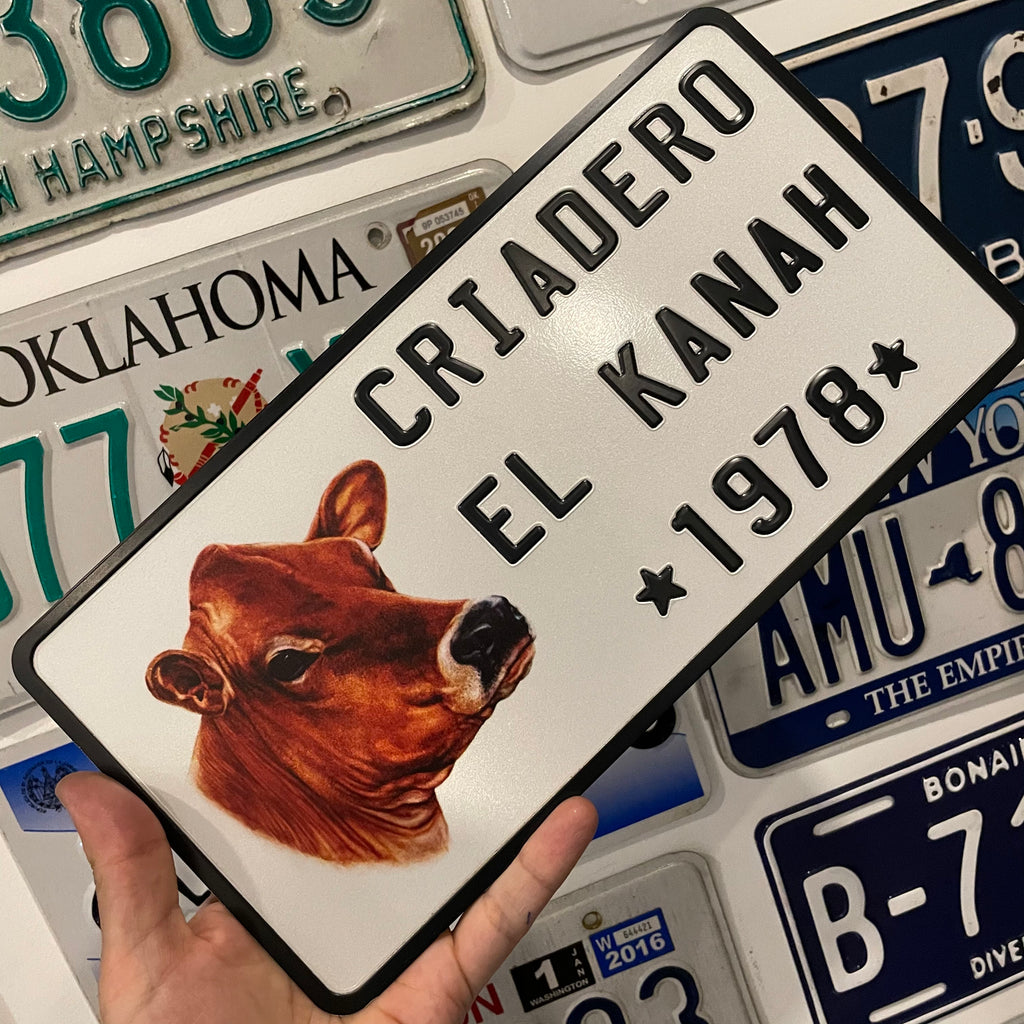 Custom US Aluminium Embossed Vanity License Plate