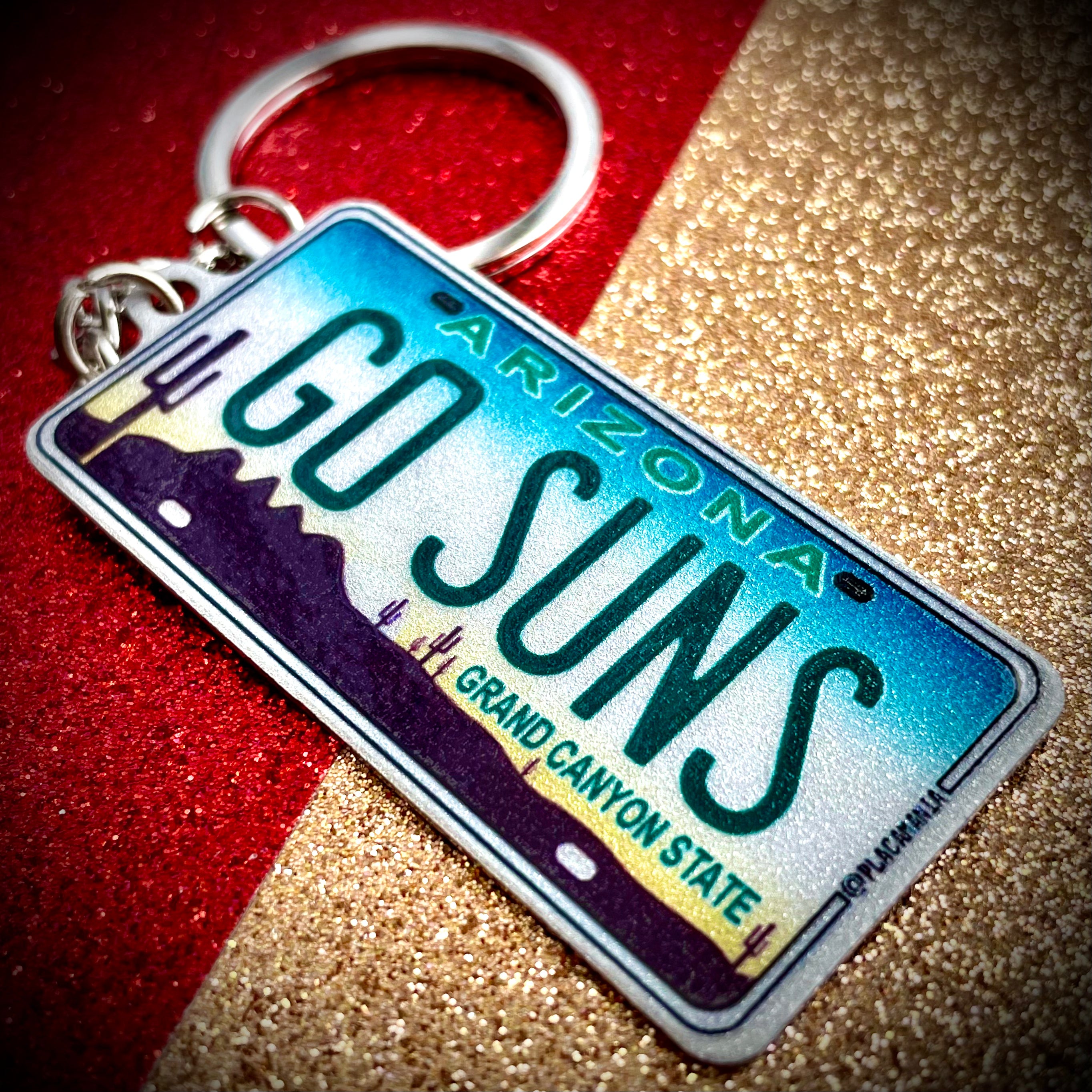 License sales plate keychain