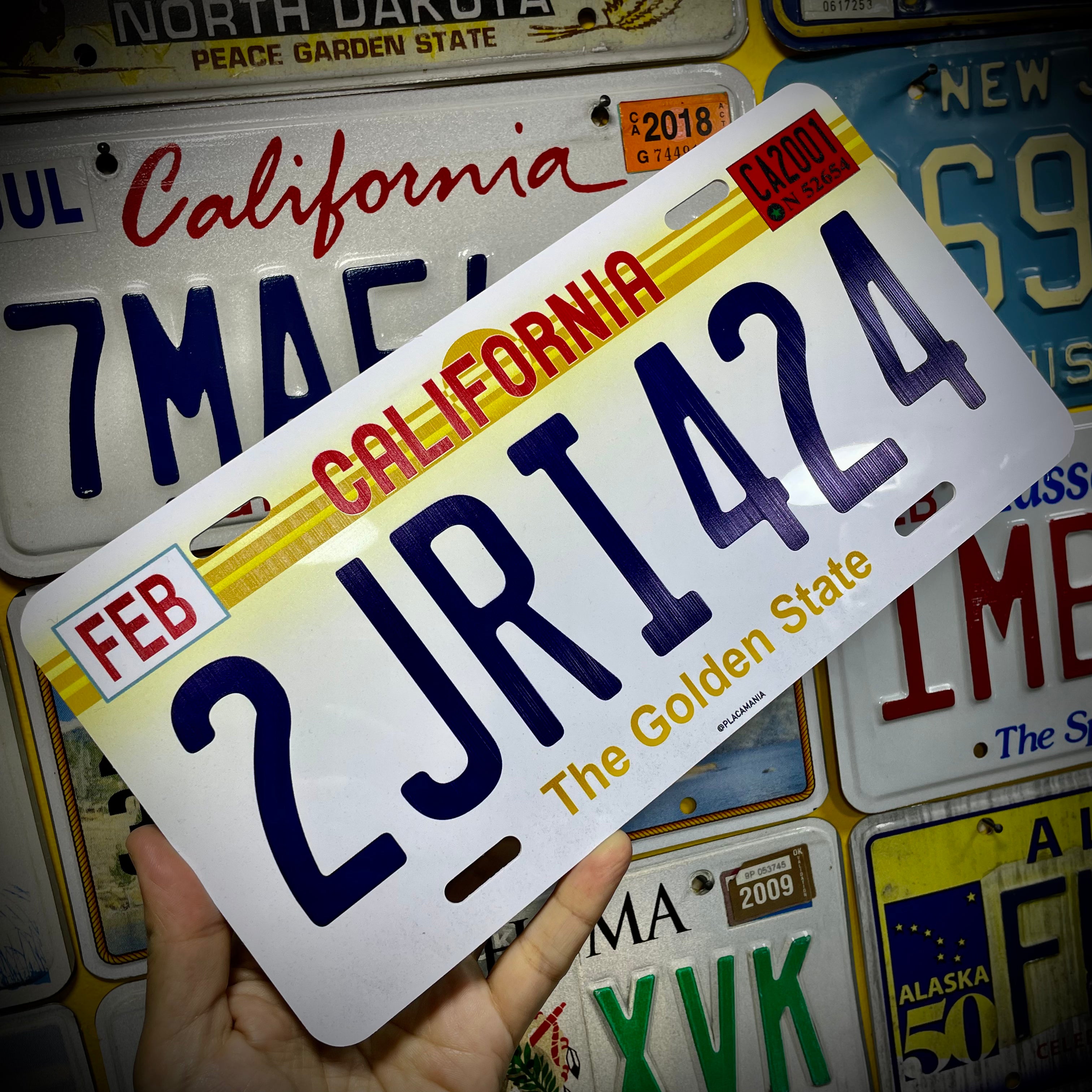 Custom Plastic License Plate