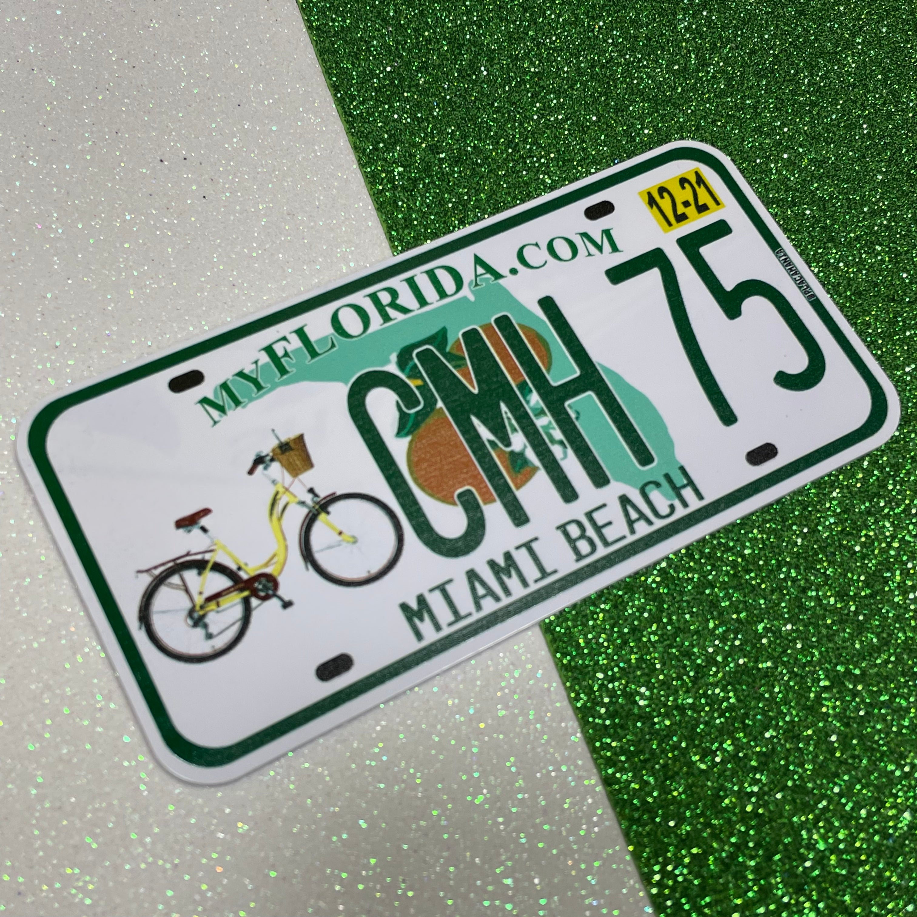 Custom Plastic Bike's License Plate