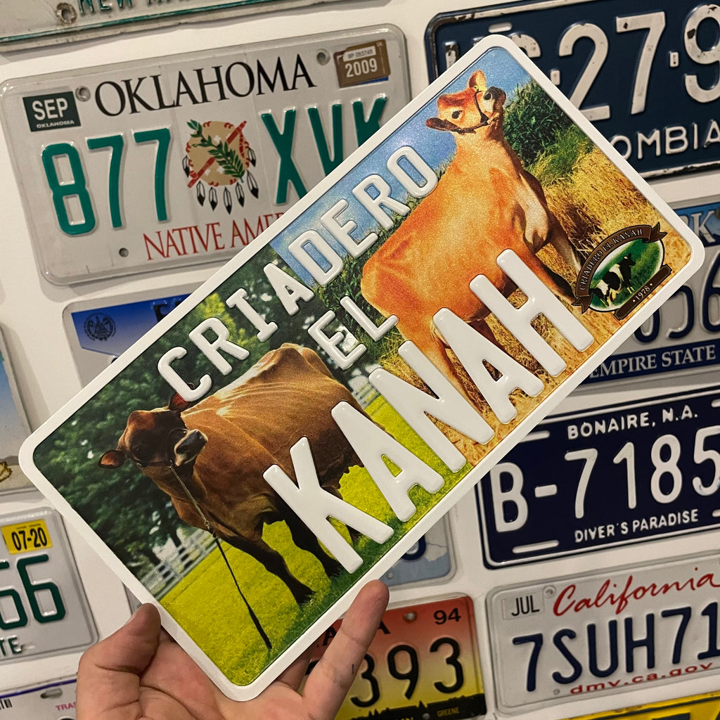 Custom US Aluminium Embossed Vanity License Plate