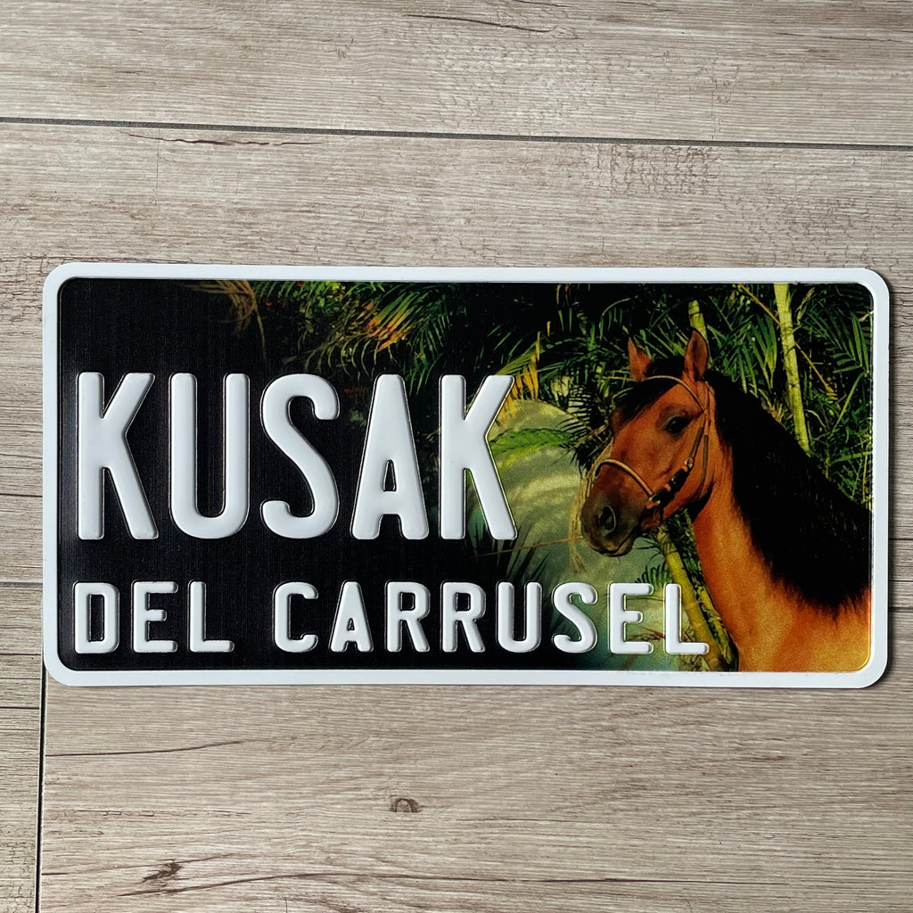 Custom US Aluminium Embossed Vanity License Plate