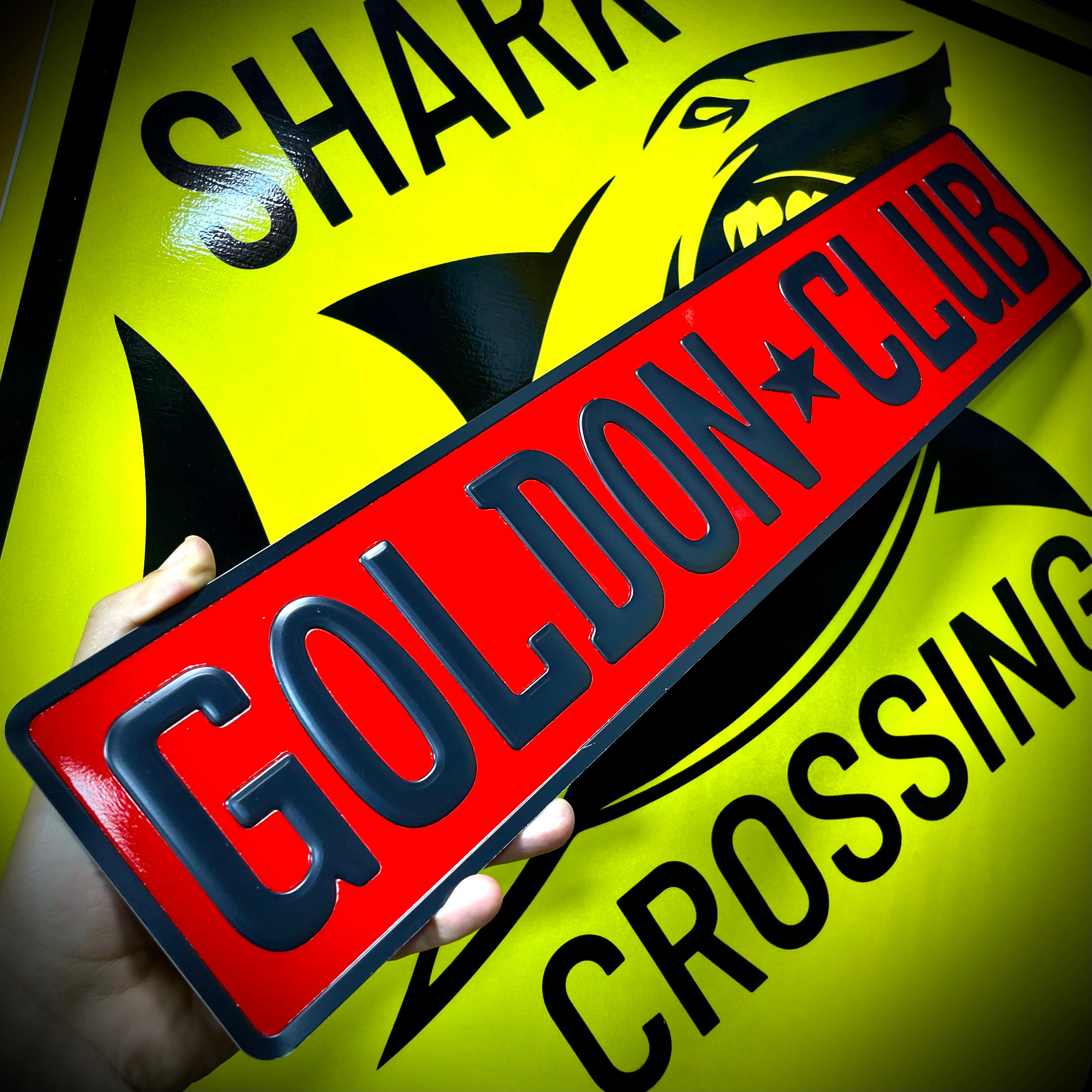 Custom European Aluminium Embossed Vanity License Plate