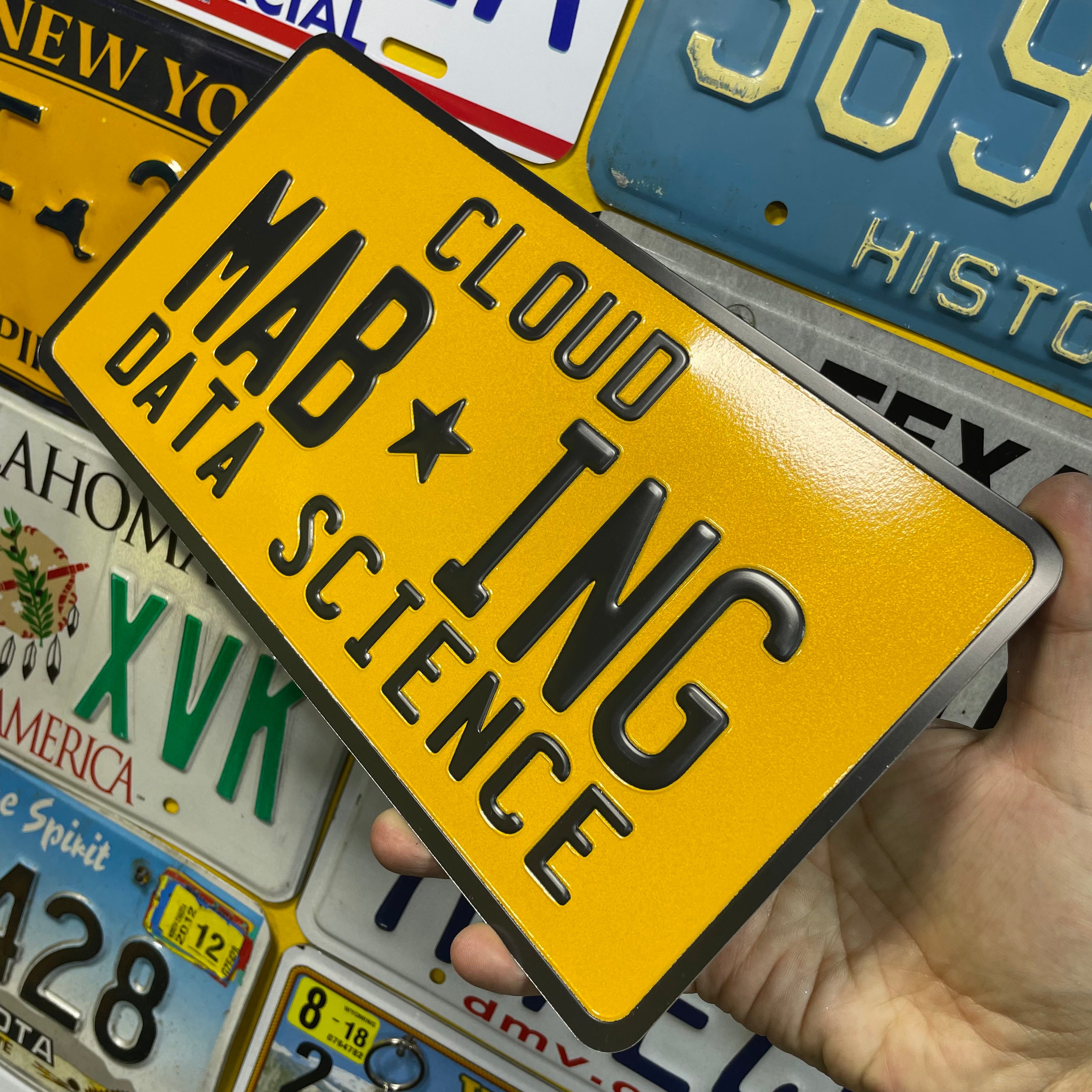 Custom US Aluminium Embossed Vanity License Plate