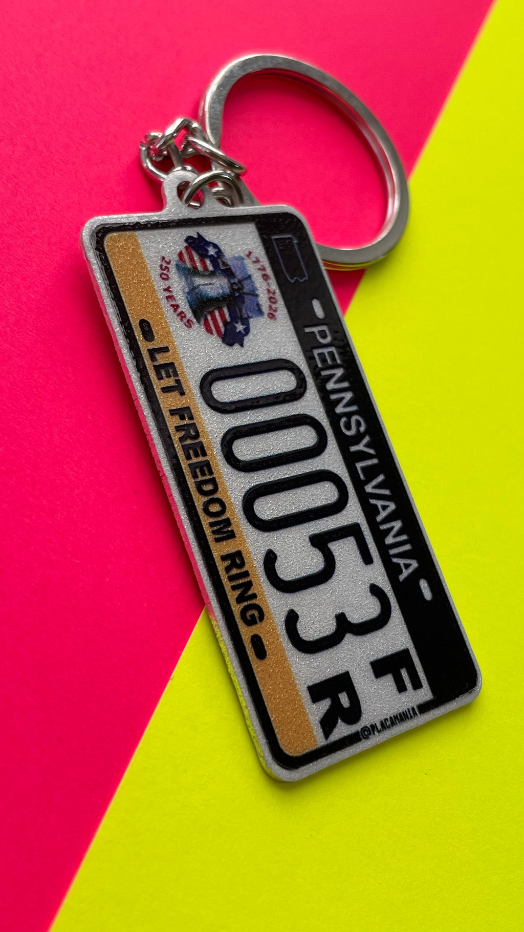Custom US License Plate Keychain