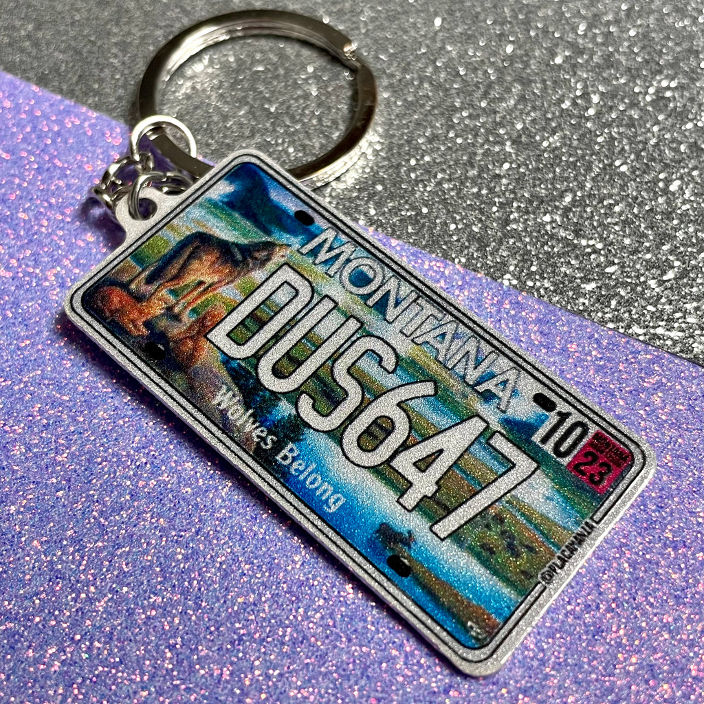 Custom US License Plate Keychain